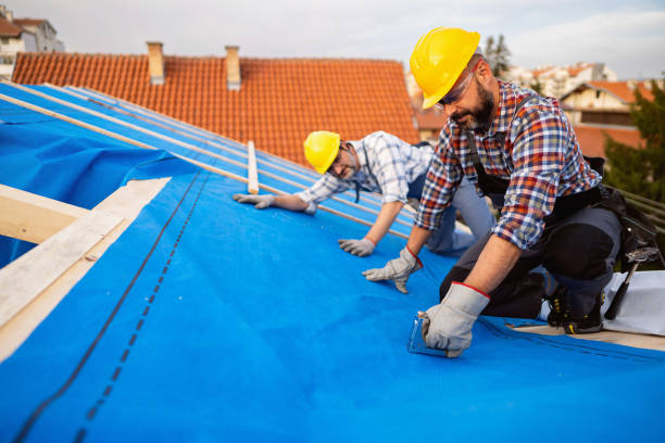 Best Residential Roof Replacement  in Mackinaw, IL