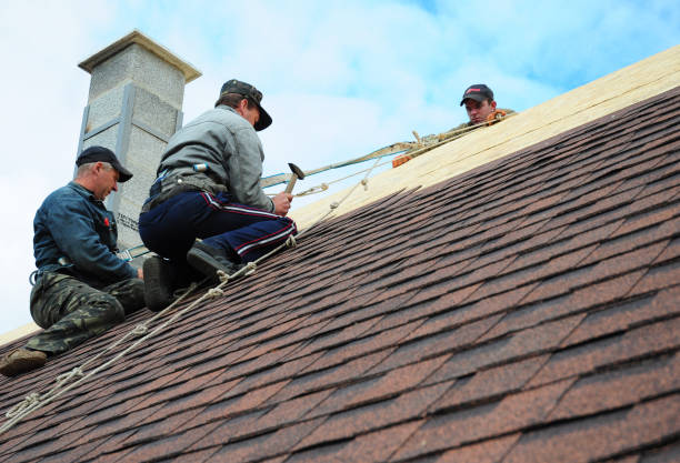 Best Emergency Roof Repair  in Mackinaw, IL